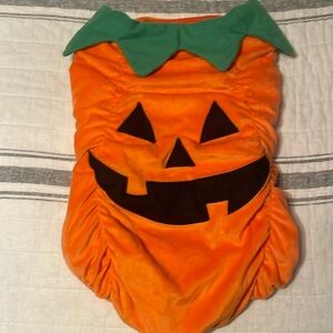 Large Dog Pumkin Costume